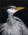 Blue Heron, Susan Morris